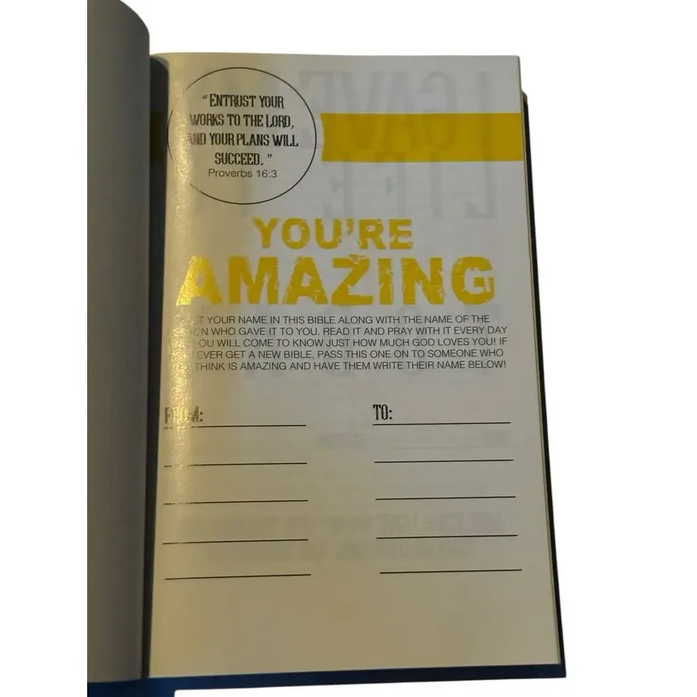 You’re Amazing No Problems Just Opportunities New American Bible Gods Plan NAB‎